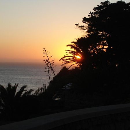 Villa Dos Teixos Cascais Eksteriør billede