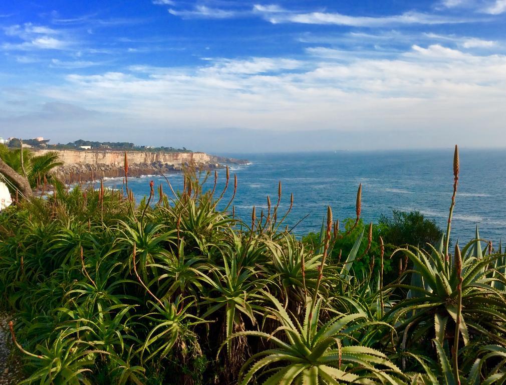 Villa Dos Teixos Cascais Eksteriør billede